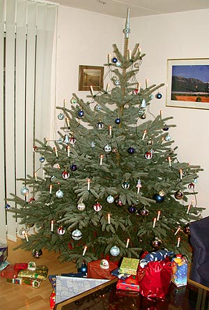 03122401