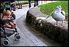 DSCN7986.jpg