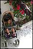 DSCN8039.jpg